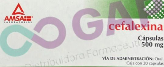 GE CEFALEXINA AMSA 500 MG 20 CAPSULAS