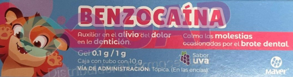 GE BENZOCAINA CAMIDEN GEL 0.1 G TUBO 10 G
