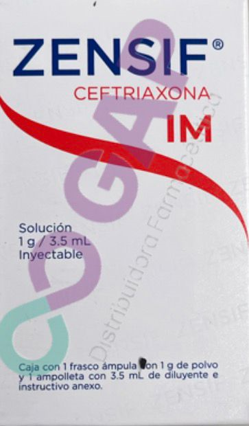 GE CEFTRIAXONA ZENSIF SOL INY I.M. 1G/3.5ML 1 G